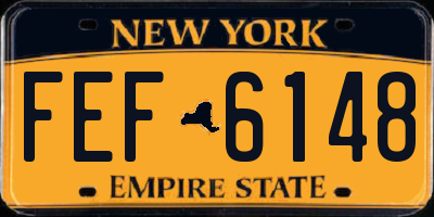 NY license plate FEF6148