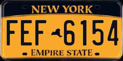 NY license plate FEF6154