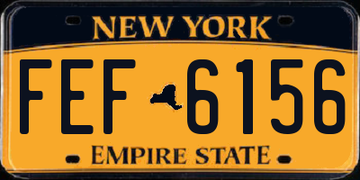 NY license plate FEF6156