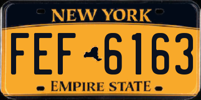 NY license plate FEF6163