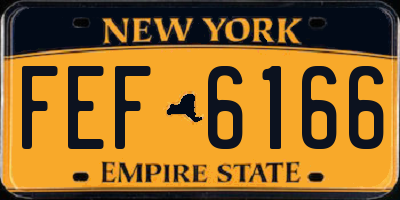 NY license plate FEF6166