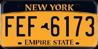 NY license plate FEF6173