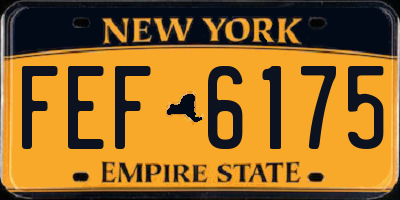 NY license plate FEF6175