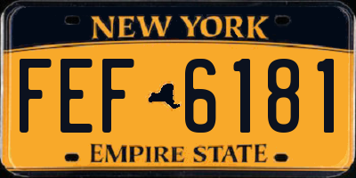 NY license plate FEF6181