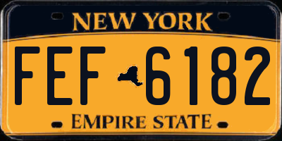 NY license plate FEF6182