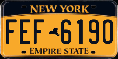 NY license plate FEF6190