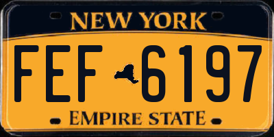 NY license plate FEF6197