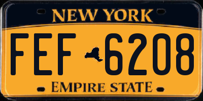 NY license plate FEF6208