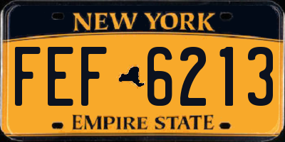 NY license plate FEF6213