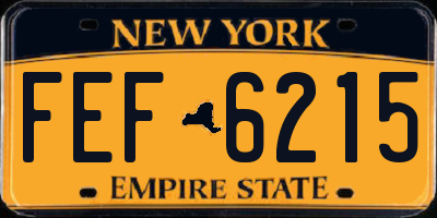 NY license plate FEF6215