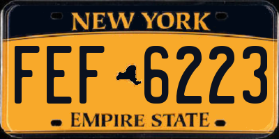 NY license plate FEF6223