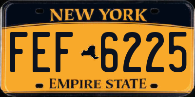 NY license plate FEF6225