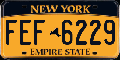 NY license plate FEF6229