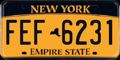 NY license plate FEF6231