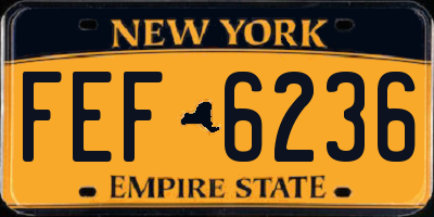 NY license plate FEF6236
