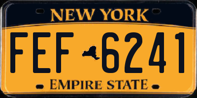NY license plate FEF6241