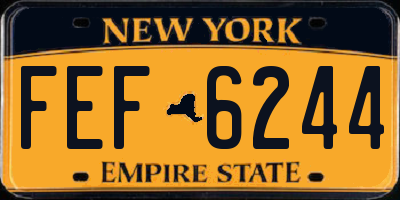NY license plate FEF6244