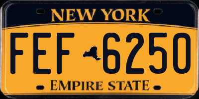 NY license plate FEF6250