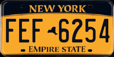 NY license plate FEF6254