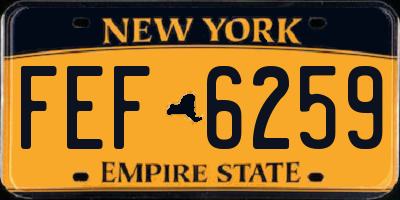NY license plate FEF6259