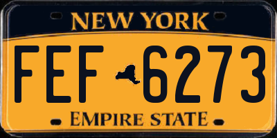 NY license plate FEF6273