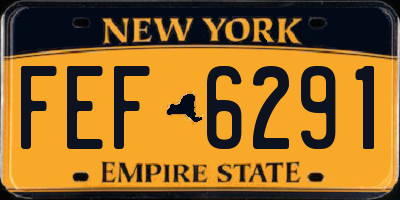 NY license plate FEF6291