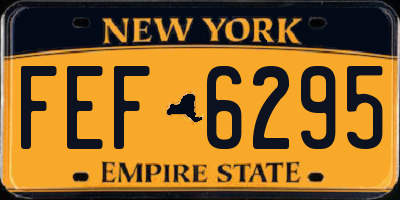 NY license plate FEF6295
