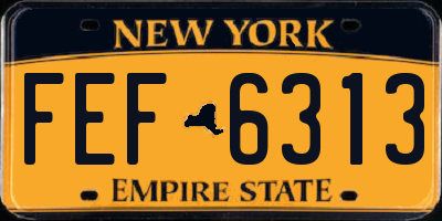 NY license plate FEF6313