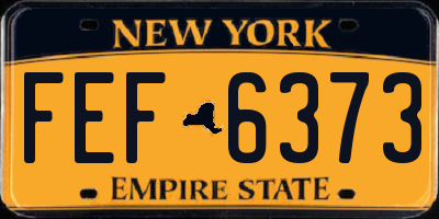 NY license plate FEF6373