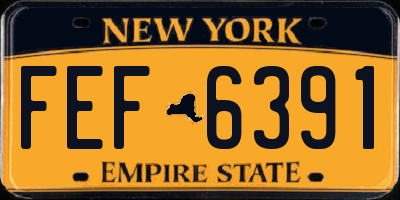 NY license plate FEF6391