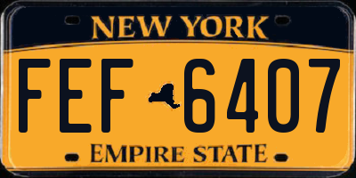 NY license plate FEF6407
