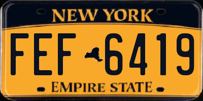 NY license plate FEF6419