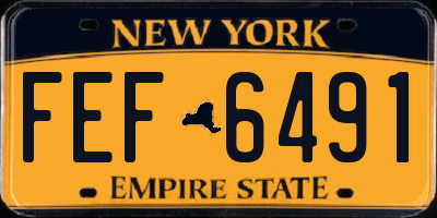 NY license plate FEF6491
