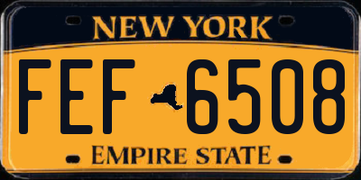 NY license plate FEF6508