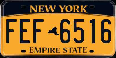 NY license plate FEF6516