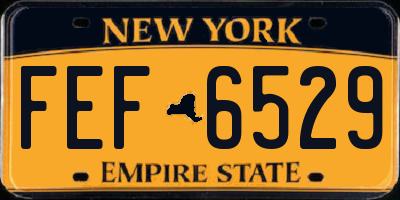 NY license plate FEF6529