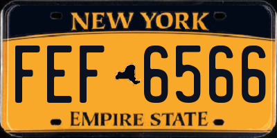 NY license plate FEF6566