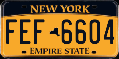 NY license plate FEF6604