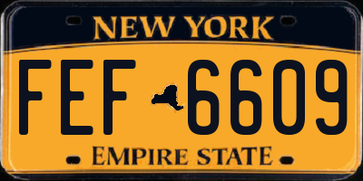 NY license plate FEF6609