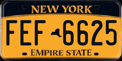 NY license plate FEF6625