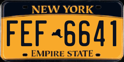 NY license plate FEF6641