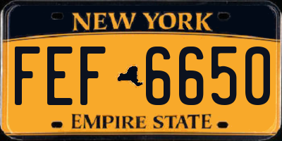 NY license plate FEF6650