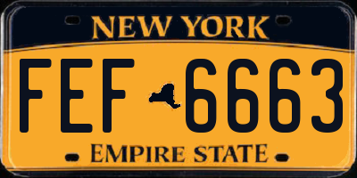 NY license plate FEF6663