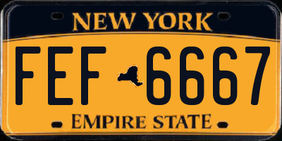 NY license plate FEF6667