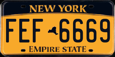 NY license plate FEF6669