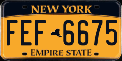 NY license plate FEF6675