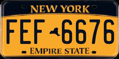 NY license plate FEF6676