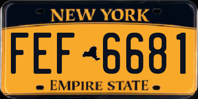 NY license plate FEF6681
