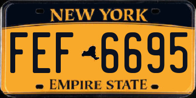 NY license plate FEF6695