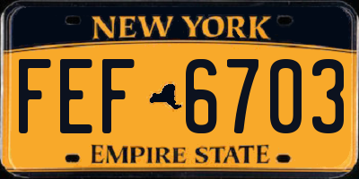 NY license plate FEF6703